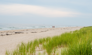 A Summer of Impact at CMM Cares